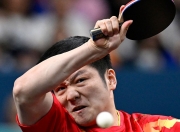 开云体育app-葡萄牙队轻取中国队，樊振东统治全场的简单介绍