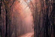 开云APP-比利时乒乓球奇迹：完胜中国顶级队伍，王皓三分雨点燃全场热情