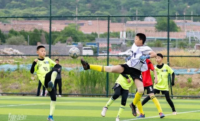 关于球市喧嚣,足球赛季开启,球场热闹非凡的信息 关于球市喧嚣,足球赛季开启,球场热闹非凡的信息