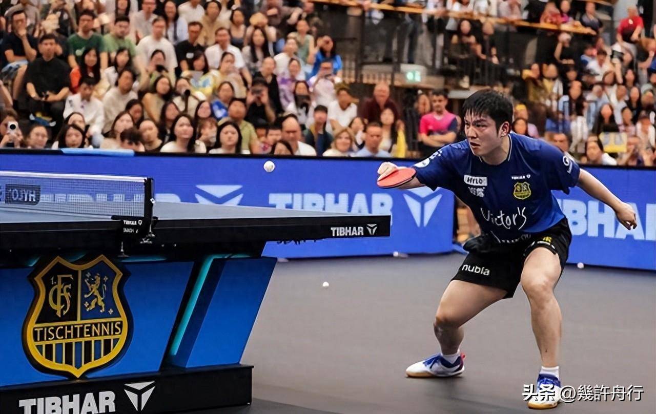 关于波兰乒乓球队血洗德国乒乓球队，樊振东制霸全场的信息