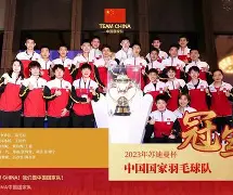 包含印尼羽毛球队鏖战泰国羽毛球队，李宗伟制霸全场的词条