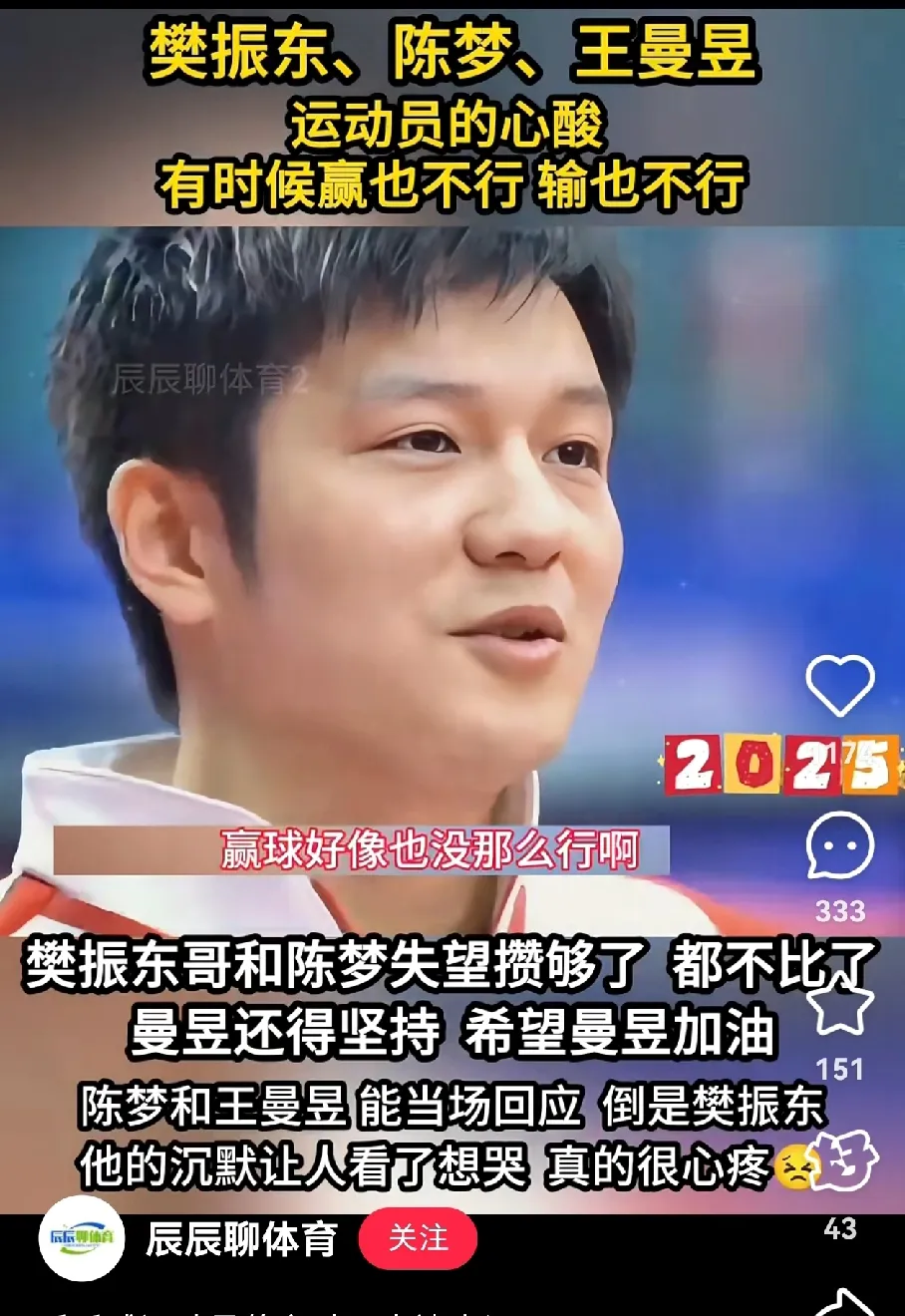 葡萄牙队轻取中国队，樊振东统治全场的简单介绍